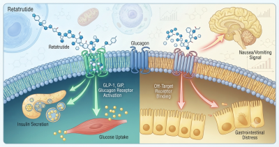 retatrutide side effects