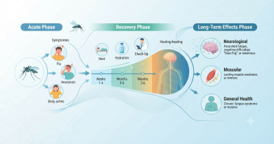 West Nile Virus Recovery Timeline