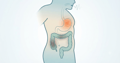 Understanding the Connection Between Constipation and Nausea